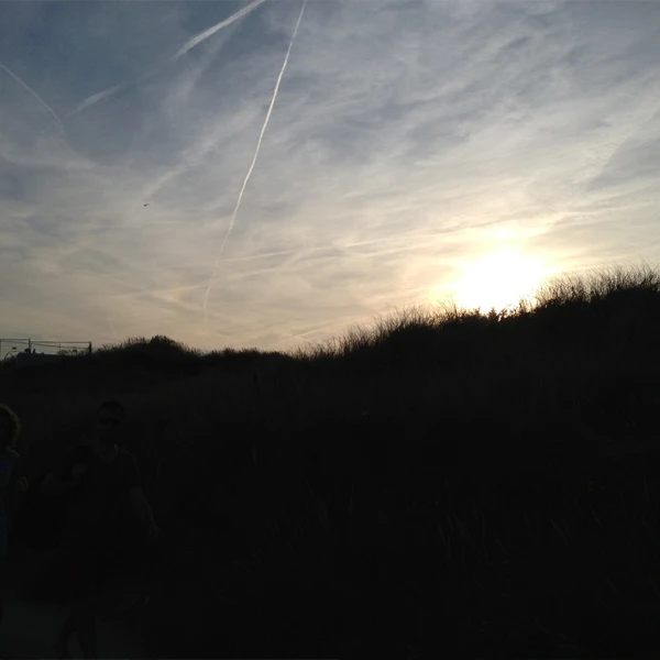 6duinen